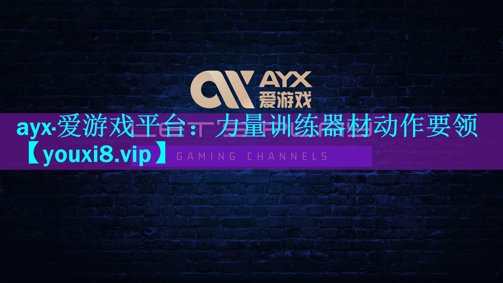 ayx·爱游戏平台：力量训练器材动作要领