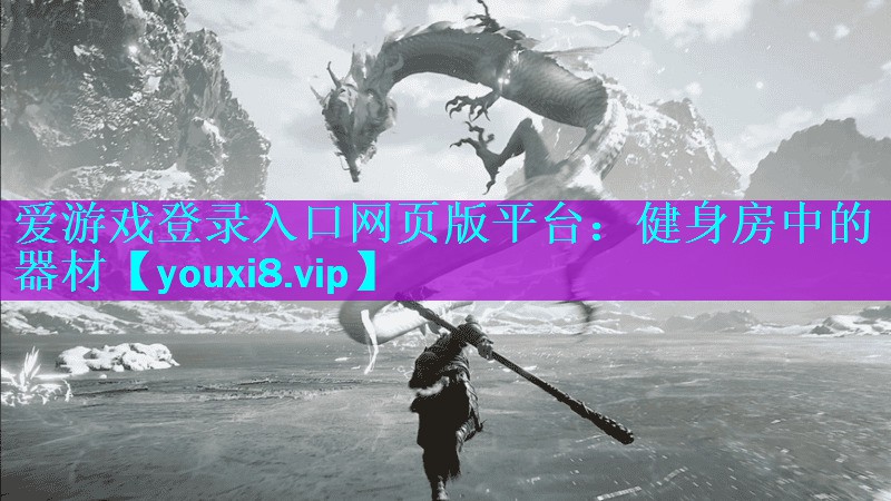 爱游戏登录入口网页版平台：健身房中的器材