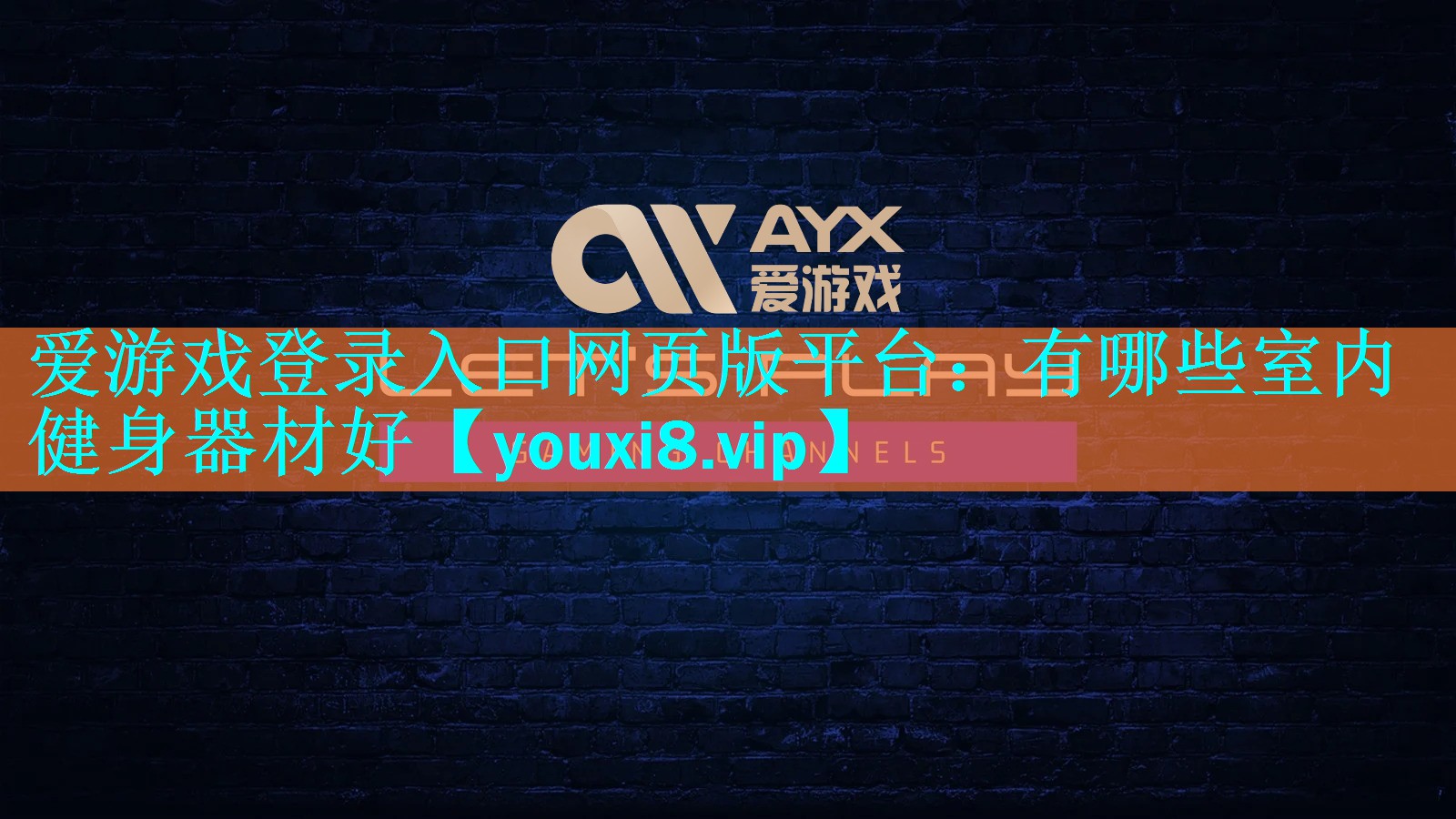 爱游戏登录入口网页版平台：有哪些室内健身器材好