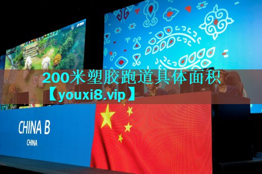 <strong>200米塑胶跑道具体面积</strong>
