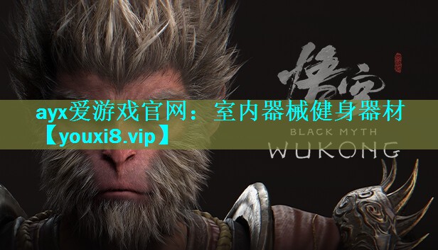 <strong>ayx爱游戏官网：室内器械健身器材</strong>