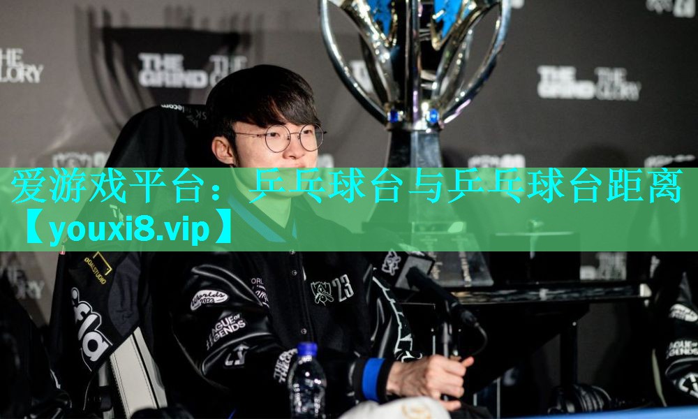 爱游戏平台：乒乓球台与乒乓球台距离