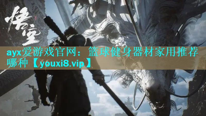 篮球健身器材家用推荐哪种