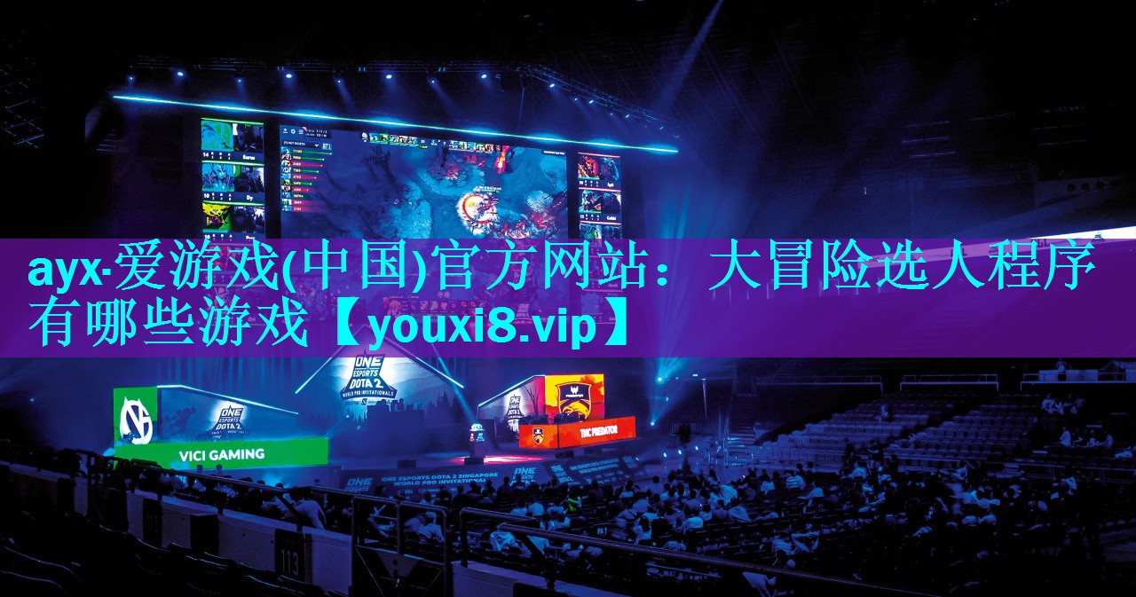 大冒险选人程序有哪些游戏 大冒险选人程序有哪些游戏