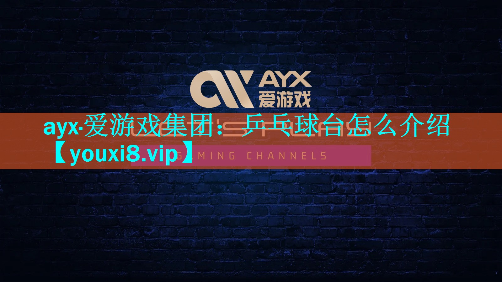 乒乓球台怎么介绍 乒乓球台怎么介绍